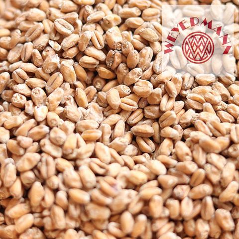 1. Солод Пшеничный светлый / Pale Wheat (Weyermann), 1 кг